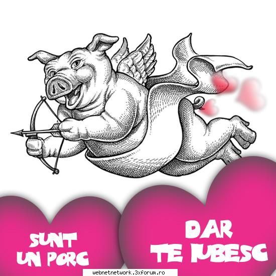 fun - KinG - Discutii/Pareri