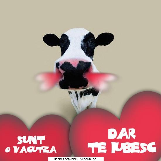 fun - KinG - Discutii/Pareri
