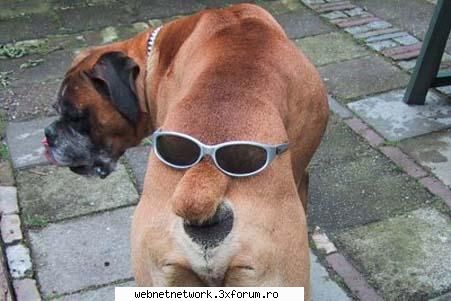 funny - KinG - Discutii/Pareri